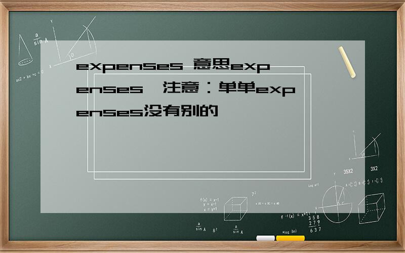 expenses 意思expenses,注意：单单expenses没有别的