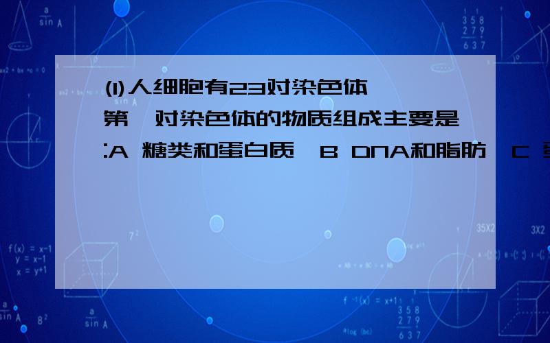 (1)人细胞有23对染色体,第一对染色体的物质组成主要是:A 糖类和蛋白质,B DNA和脂肪,C 蛋白质和脂肪,D DNA和蛋白质(2)细胞分化生长的过程依次是:A细胞分裂-细胞生长-细胞分化 B细胞生长-细胞分