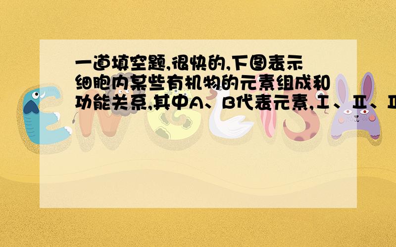 一道填空题,很快的,下图表示细胞内某些有机物的元素组成和功能关系,其中A、B代表元素,Ⅰ、Ⅱ、Ⅲ、Ⅳ是生物大分子,图中X、Y、Z、P分别为构成生物大分子的基本单位.请回答下列问题：1、