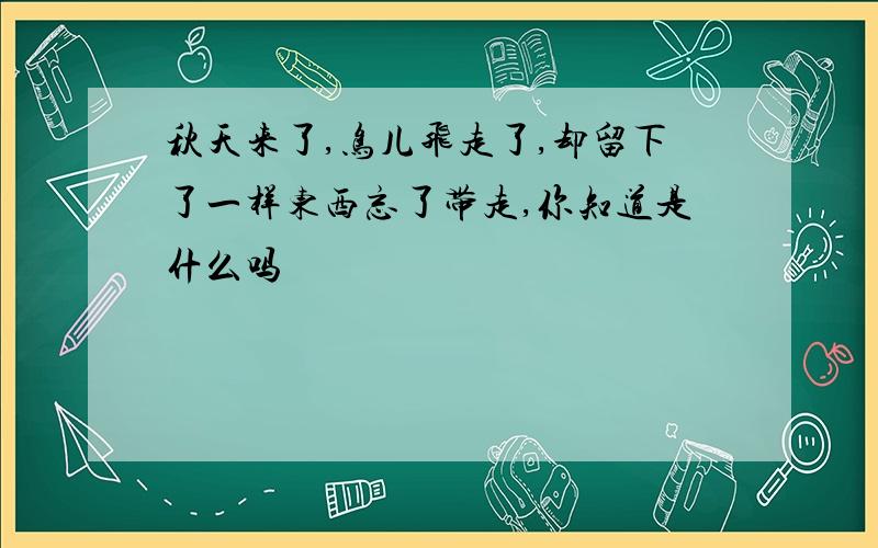 秋天来了,鸟儿飞走了,却留下了一样东西忘了带走,你知道是什么吗