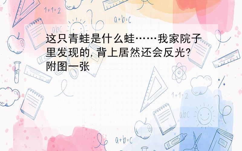 这只青蛙是什么蛙……我家院子里发现的,背上居然还会反光?附图一张