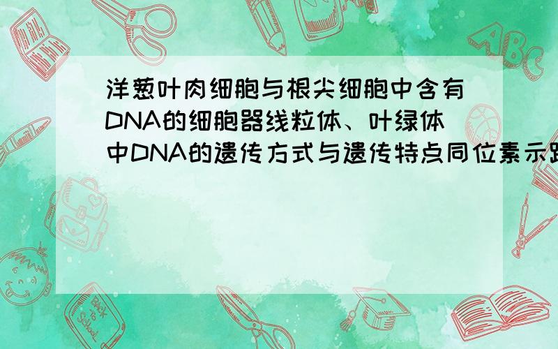 洋葱叶肉细胞与根尖细胞中含有DNA的细胞器线粒体、叶绿体中DNA的遗传方式与遗传特点同位素示踪法（将一个分子进行标记如15N,放入14N原料中复制）：经过n次复制后,含有15N标记的分子与不