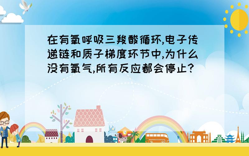 在有氧呼吸三羧酸循环,电子传递链和质子梯度环节中,为什么没有氧气,所有反应都会停止?