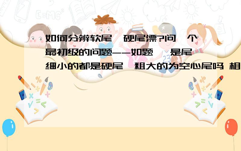 如何分辨软尾,硬尾漂?问一个最初级的问题--如题 ,是尾细小的都是硬尾,粗大的为空心尾吗 相信很多新手和我一样想知道.