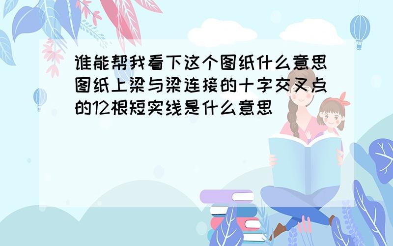 谁能帮我看下这个图纸什么意思图纸上梁与梁连接的十字交叉点的12根短实线是什么意思