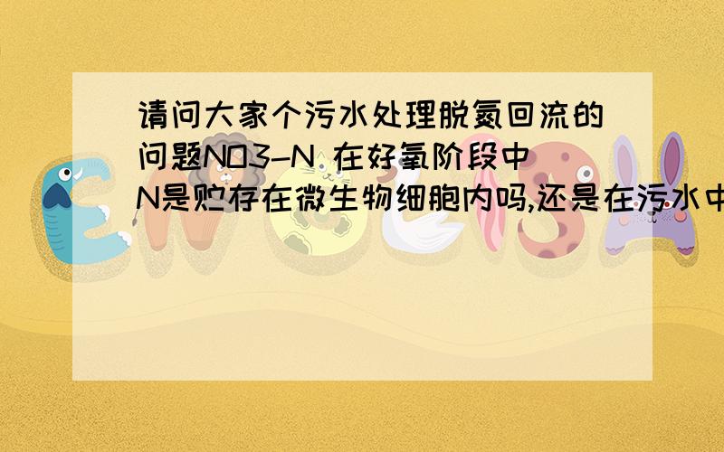 请问大家个污水处理脱氮回流的问题NO3-N 在好氧阶段中N是贮存在微生物细胞内吗,还是在污水中?怎么 确保回流污泥中含的 N 回流到了缺氧段,而不是随着污水进入沉淀池?是不是N 在微生物细