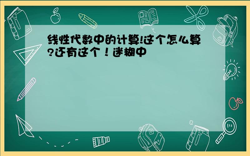 线性代数中的计算!这个怎么算?还有这个！迷糊中