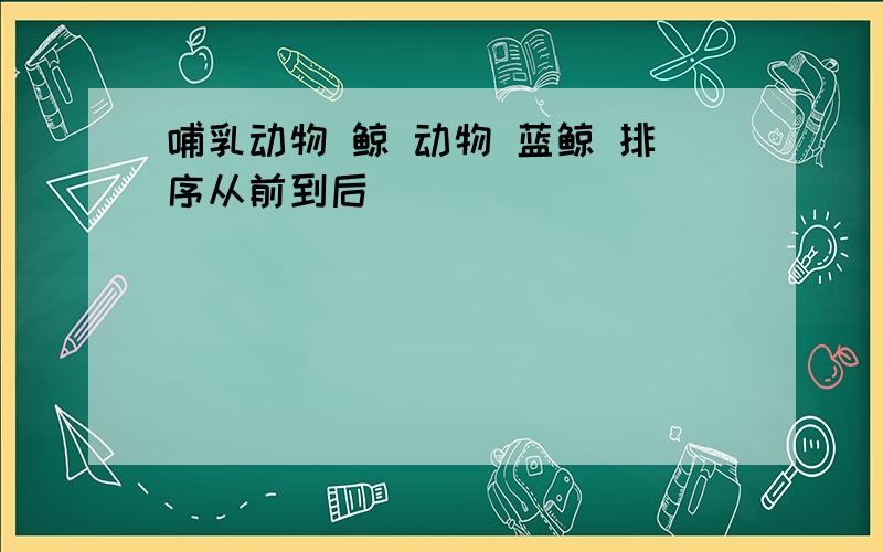 哺乳动物 鲸 动物 蓝鲸 排序从前到后