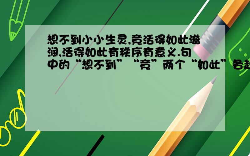 想不到小小生灵,竟活得如此滋润,活得如此有秩序有意义.句中的“想不到”“竟”两个“如此”各起什么作还有“竟”与两个“如此”各起什么作用?