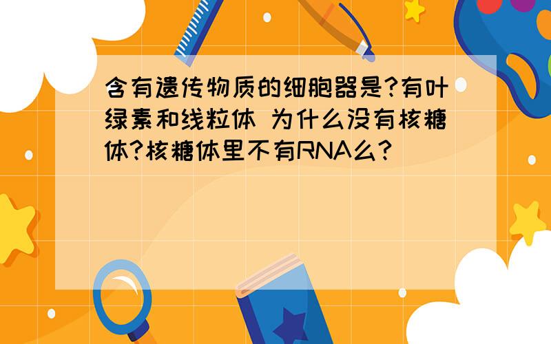 含有遗传物质的细胞器是?有叶绿素和线粒体 为什么没有核糖体?核糖体里不有RNA么?