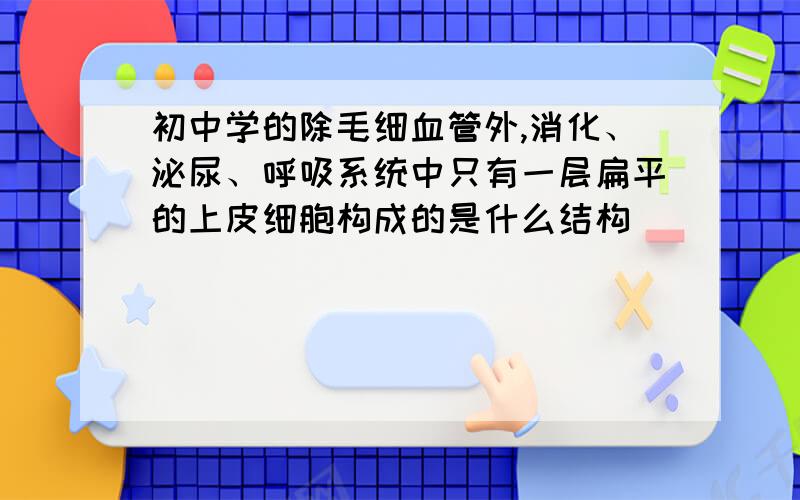 初中学的除毛细血管外,消化、泌尿、呼吸系统中只有一层扁平的上皮细胞构成的是什么结构