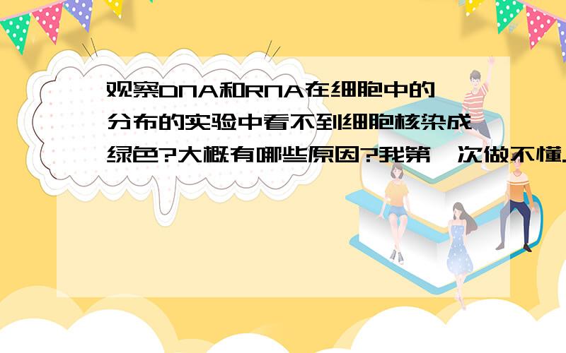 观察DNA和RNA在细胞中的分布的实验中看不到细胞核染成绿色?大概有哪些原因?我第一次做不懂..