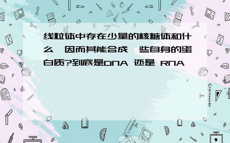 线粒体中存在少量的核糖体和什么,因而其能合成一些自身的蛋白质?到底是DNA 还是 RNA