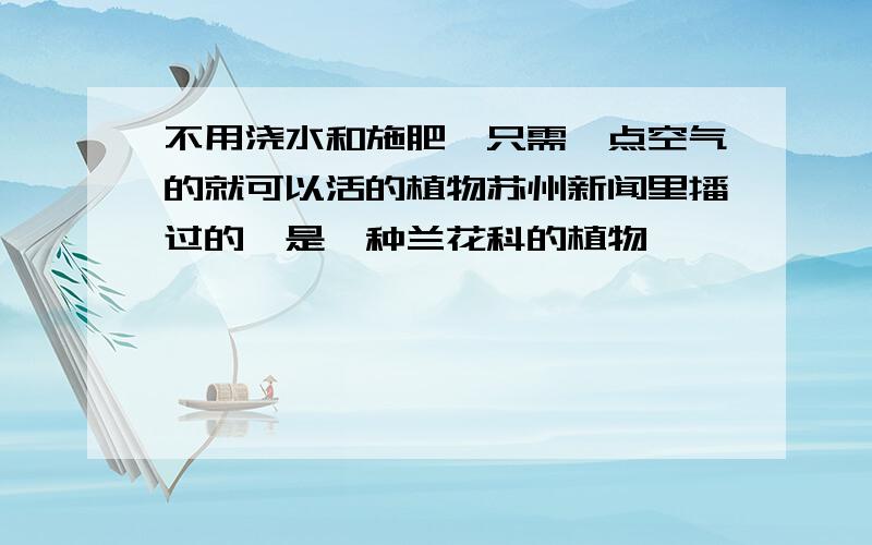 不用浇水和施肥,只需一点空气的就可以活的植物苏州新闻里播过的,是一种兰花科的植物