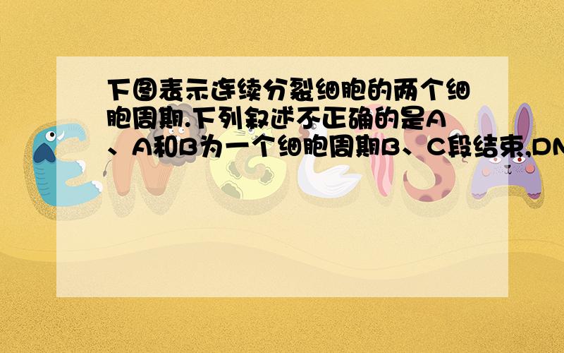 下图表示连续分裂细胞的两个细胞周期.下列叙述不正确的是A、A和B为一个细胞周期B、C段结束,DNA含量增加一倍C、遗传物质平分一般发生在D段D、B和C为一个细胞周期.