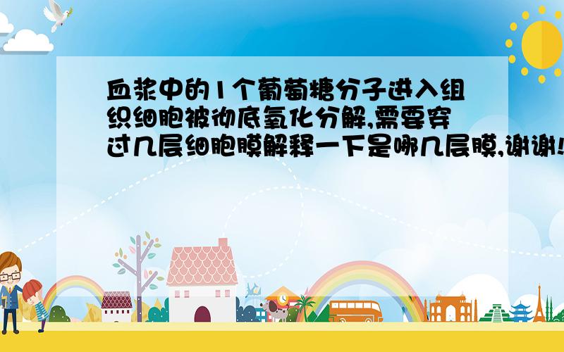 血浆中的1个葡萄糖分子进入组织细胞被彻底氧化分解,需要穿过几层细胞膜解释一下是哪几层膜,谢谢!能给个物质的穿膜问题的总结吗,多加分!