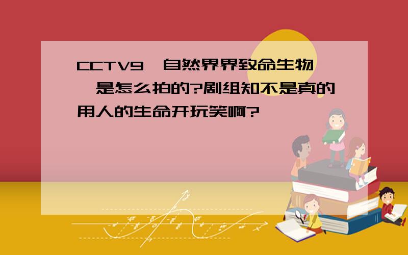 CCTV9《自然界界致命生物》是怎么拍的?剧组知不是真的用人的生命开玩笑啊?