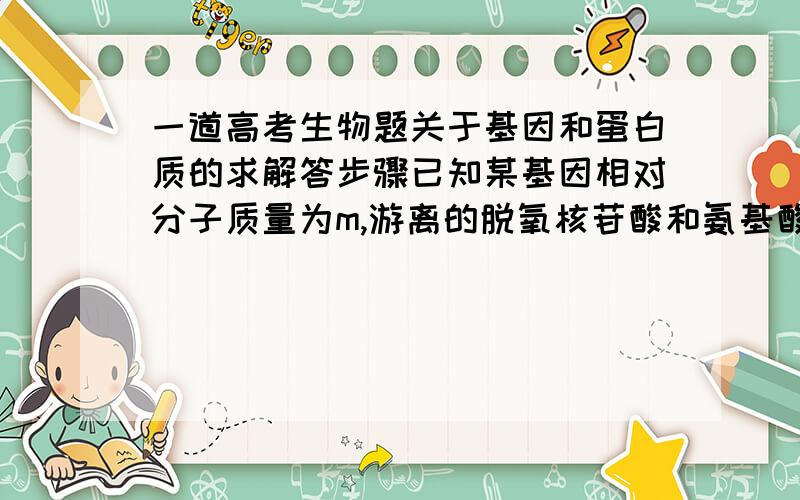 一道高考生物题关于基因和蛋白质的求解答步骤已知某基因相对分子质量为m,游离的脱氧核苷酸和氨基酸的相对分子质量分别为a、b.则由该基因指导合成的含两条多肽链的蛋白质相对分子质