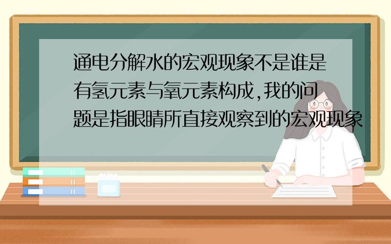 通电分解水的宏观现象不是谁是有氢元素与氧元素构成,我的问题是指眼睛所直接观察到的宏观现象