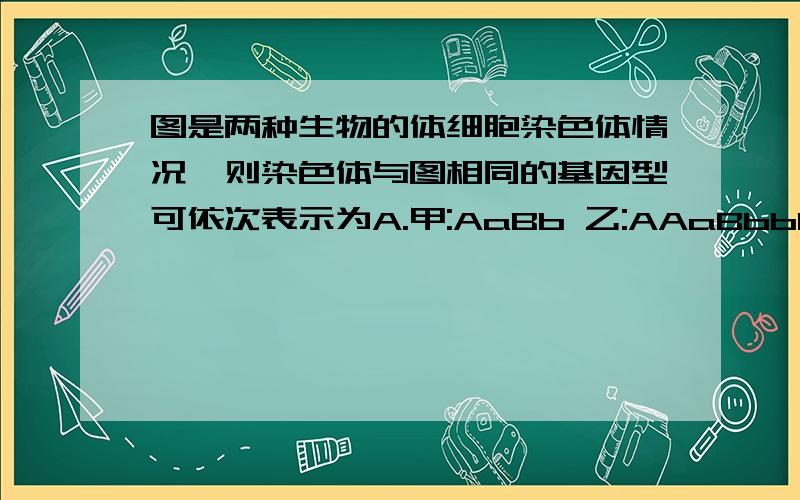 图是两种生物的体细胞染色体情况,则染色体与图相同的基因型可依次表示为A.甲:AaBb 乙:AAaBbbB.甲:AaaaBBbb 乙:AaBBC.甲:AaaaBbbb 乙:AaaBBbD.甲:AaaBbb 乙:AAaaBbbb为什么选C甲不是12条染色体么,但C选项只有