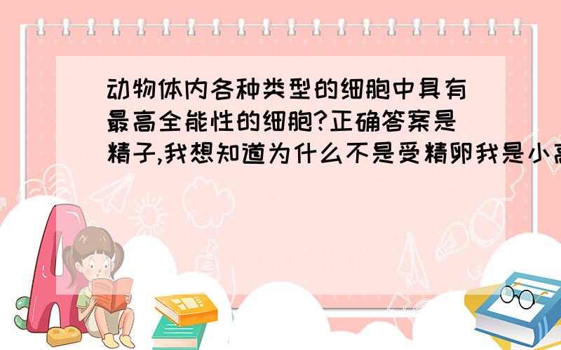 动物体内各种类型的细胞中具有最高全能性的细胞?正确答案是精子,我想知道为什么不是受精卵我是小高考的哎。也有可能是错的，所以上来问问大家咩