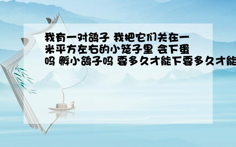 我有一对鸽子 我把它们关在一米平方左右的小笼子里 会下蛋吗 孵小鸽子吗 要多久才能下要多久才能下鸽子蛋 小鸽子多久才能张大啊