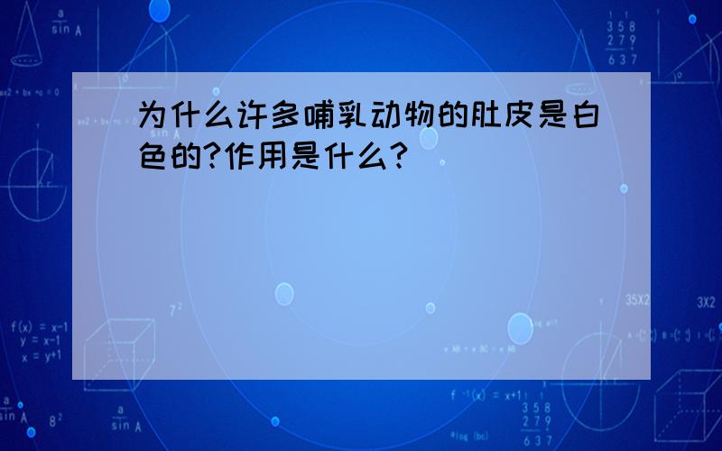 为什么许多哺乳动物的肚皮是白色的?作用是什么?