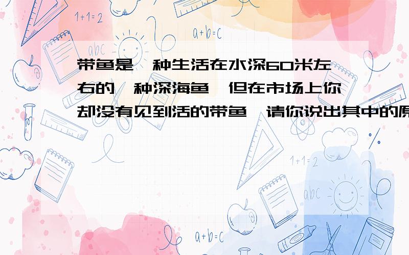 带鱼是一种生活在水深60米左右的一种深海鱼,但在市场上你却没有见到活的带鱼,请你说出其中的原因.