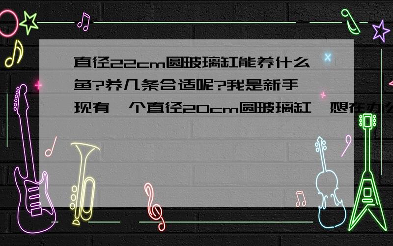 直径22cm圆玻璃缸能养什么鱼?养几条合适呢?我是新手,现有一个直径20cm圆玻璃缸,想在办公室养点什么,请高手推荐下有什么好养的小鱼.我在长春,冬天时办公室温度较低,大概13-16度.另外还有个