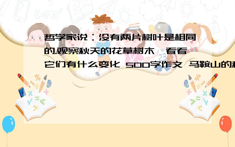 哲学家说：没有两片树叶是相同的.观察秋天的花草树木,看看它们有什么变化 500字作文 马鞍山的秋天