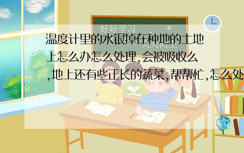 温度计里的水银掉在种地的土地上怎么办怎么处理,会被吸收么,地上还有些正长的蔬菜,帮帮忙,怎么处理,我没那么多化学药品,来点实用的