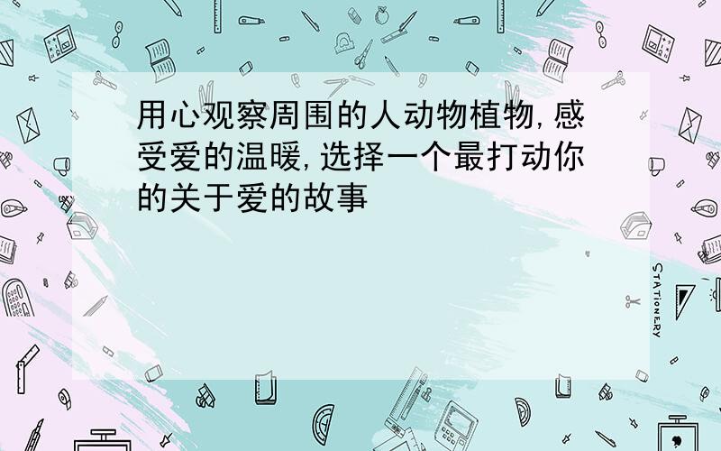 用心观察周围的人动物植物,感受爱的温暖,选择一个最打动你的关于爱的故事