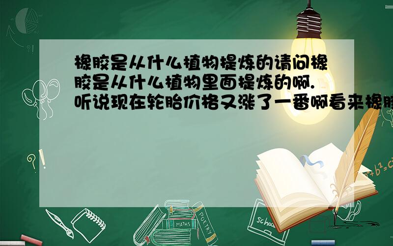 橡胶是从什么植物提炼的请问橡胶是从什么植物里面提炼的啊.听说现在轮胎价格又涨了一番啊看来橡胶市场的前景一片良好啊.回家种这个植物好了提取橡胶啊.