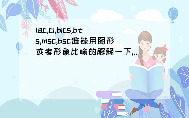 lac,ci,bics,bts,msc,bsc谁能用图形或者形象比喻的解释一下,..