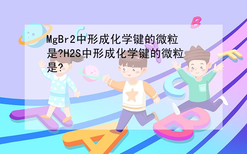 MgBr2中形成化学键的微粒是?H2S中形成化学键的微粒是?