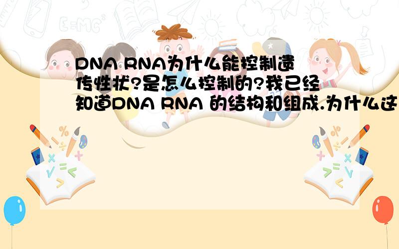 DNA RNA为什么能控制遗传性状?是怎么控制的?我已经知道DNA RNA 的结构和组成.为什么这种结构和组成就能控制遗传性状呢?还有,DNA和RNA组成上就差一个氧,为什么DNA就是主要的了呢?