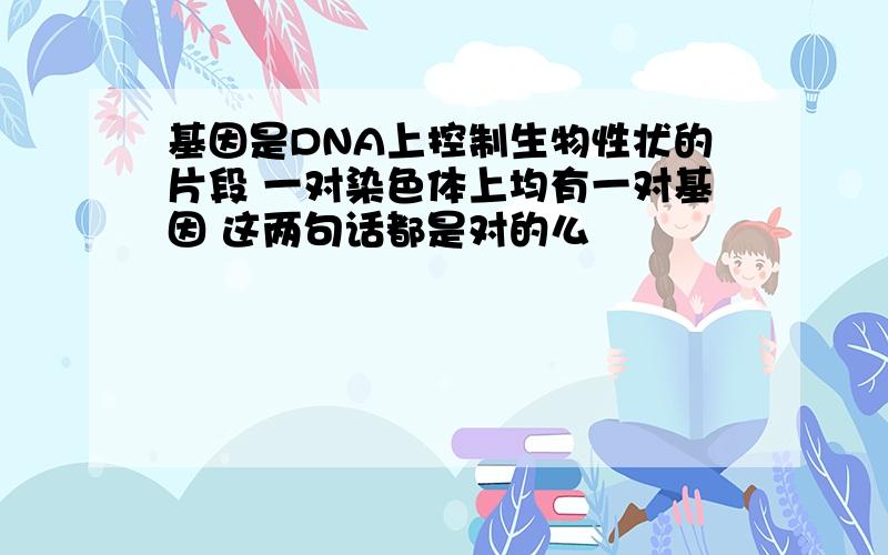 基因是DNA上控制生物性状的片段 一对染色体上均有一对基因 这两句话都是对的么