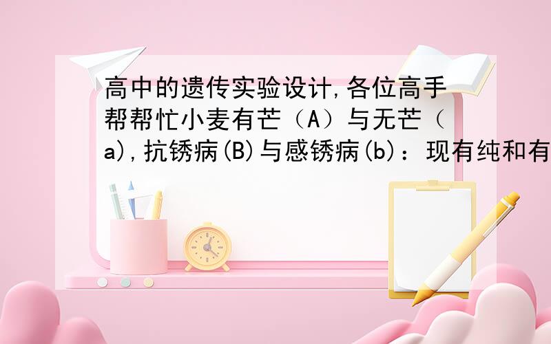 高中的遗传实验设计,各位高手帮帮忙小麦有芒（A）与无芒（a),抗锈病(B)与感锈病(b)：现有纯和有芒感锈病 纯和无芒感锈病和纯和无芒抗锈病的小麦品种,请设计实验验证这两对等位基因是否