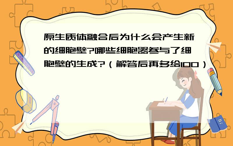 原生质体融合后为什么会产生新的细胞壁?哪些细胞器参与了细胞壁的生成?（解答后再多给100）