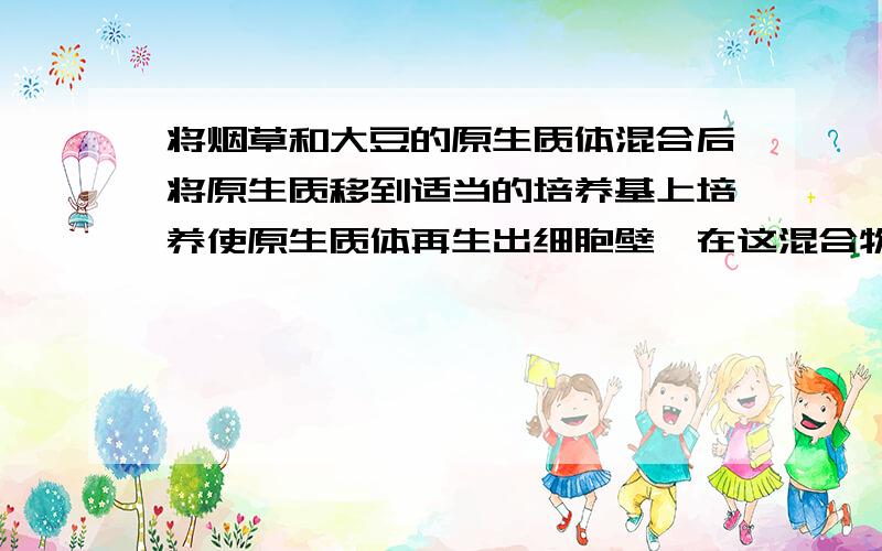 将烟草和大豆的原生质体混合后将原生质移到适当的培养基上培养使原生质体再生出细胞壁,在这混合物中可用显微镜观察到的细胞有什么大豆,烟草,大豆-大豆,烟草-烟草,烟草-大豆