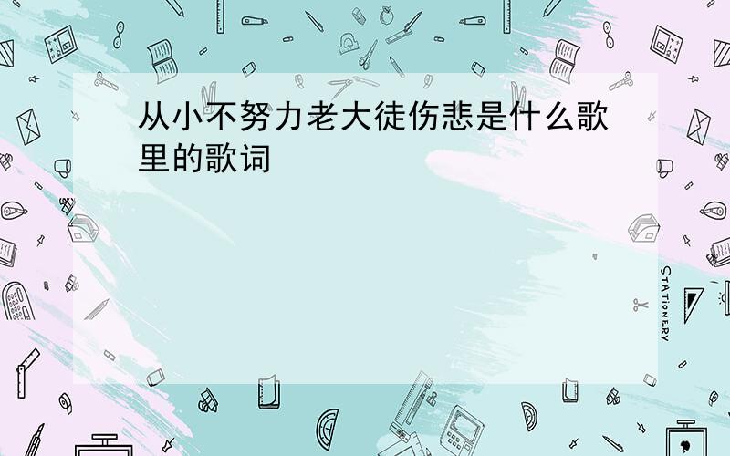 从小不努力老大徒伤悲是什么歌里的歌词