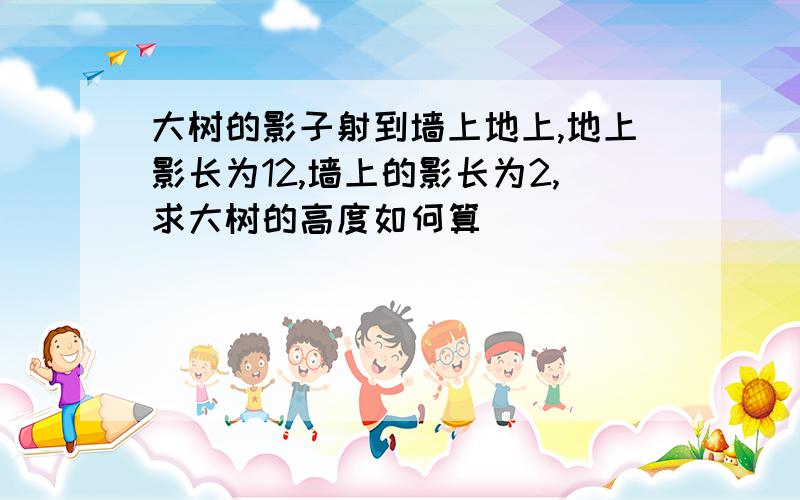 大树的影子射到墙上地上,地上影长为12,墙上的影长为2,求大树的高度如何算