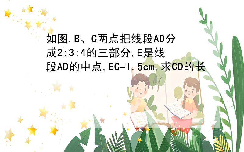 如图,B、C两点把线段AD分成2:3:4的三部分,E是线段AD的中点,EC=1.5cm,求CD的长