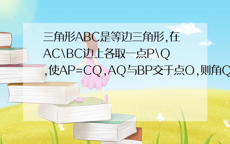 三角形ABC是等边三角形,在AC\BC边上各取一点P\Q,使AP=CQ,AQ与BP交于点O,则角QOB=多少度