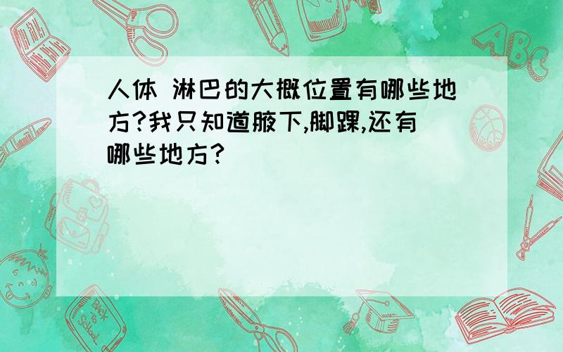 人体 淋巴的大概位置有哪些地方?我只知道腋下,脚踝,还有哪些地方?