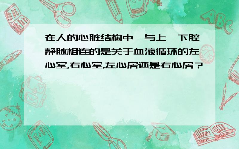 在人的心脏结构中,与上、下腔静脉相连的是关于血液循环的左心室，右心室，左心房还是右心房？