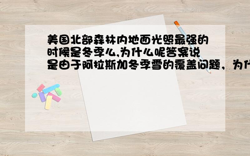 美国北部森林内地面光照最强的时候是冬季么,为什么呢答案说是由于阿拉斯加冬季雪的覆盖问题，为什么