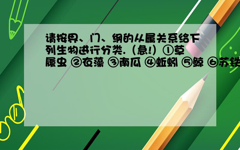 请按界、门、纲的从属关系给下列生物进行分类.（急!）①草履虫 ②衣藻 ③南瓜 ④蚯蚓 ⑤鲸 ⑥苏铁 ⑦苔藓 ⑧鸡 ⑨蜜蜂 ⑩青蛙 11扬子鳄 12鲤鱼 13海蜇