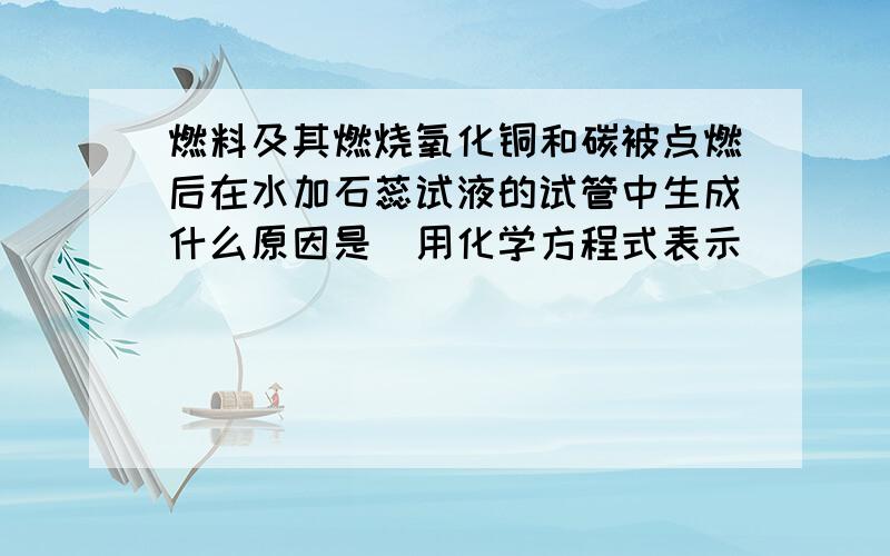 燃料及其燃烧氧化铜和碳被点燃后在水加石蕊试液的试管中生成什么原因是（用化学方程式表示）