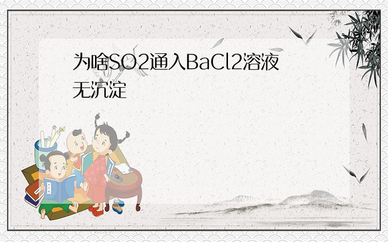 为啥SO2通入BaCl2溶液无沉淀